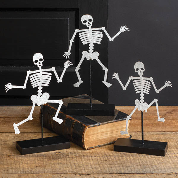 Set of Three Skeletons with Wooden Base