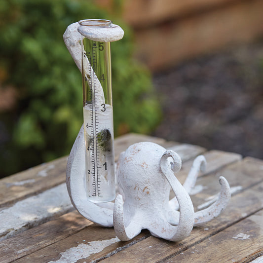 Octopus Rain Gauge