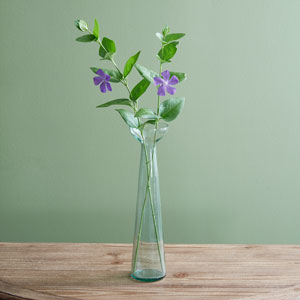 Recycled Glass Trumpet Vase - Box of 2