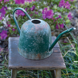 Garden Luster Watering Can