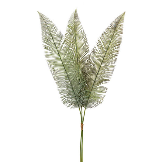 Fern Spray - Box of 2