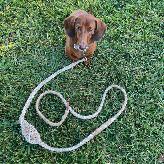 Macrame Leash