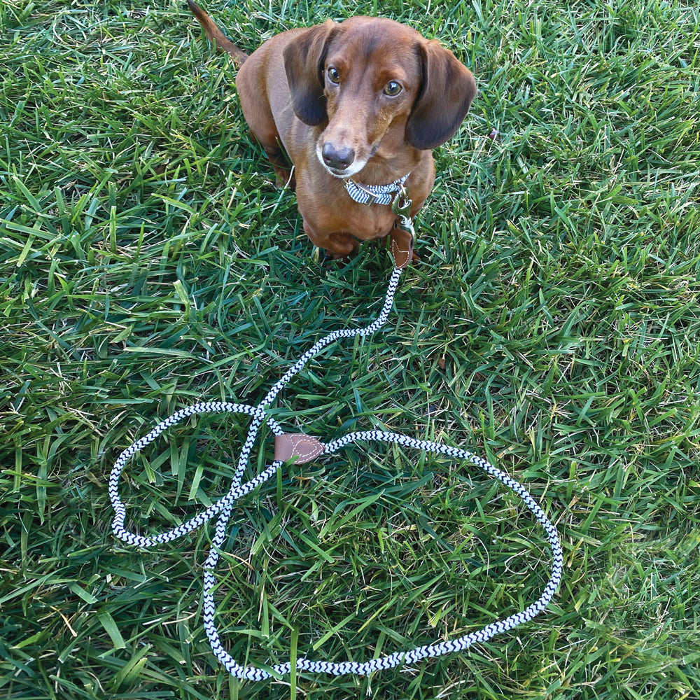 Braided Nylon and Leather Leash